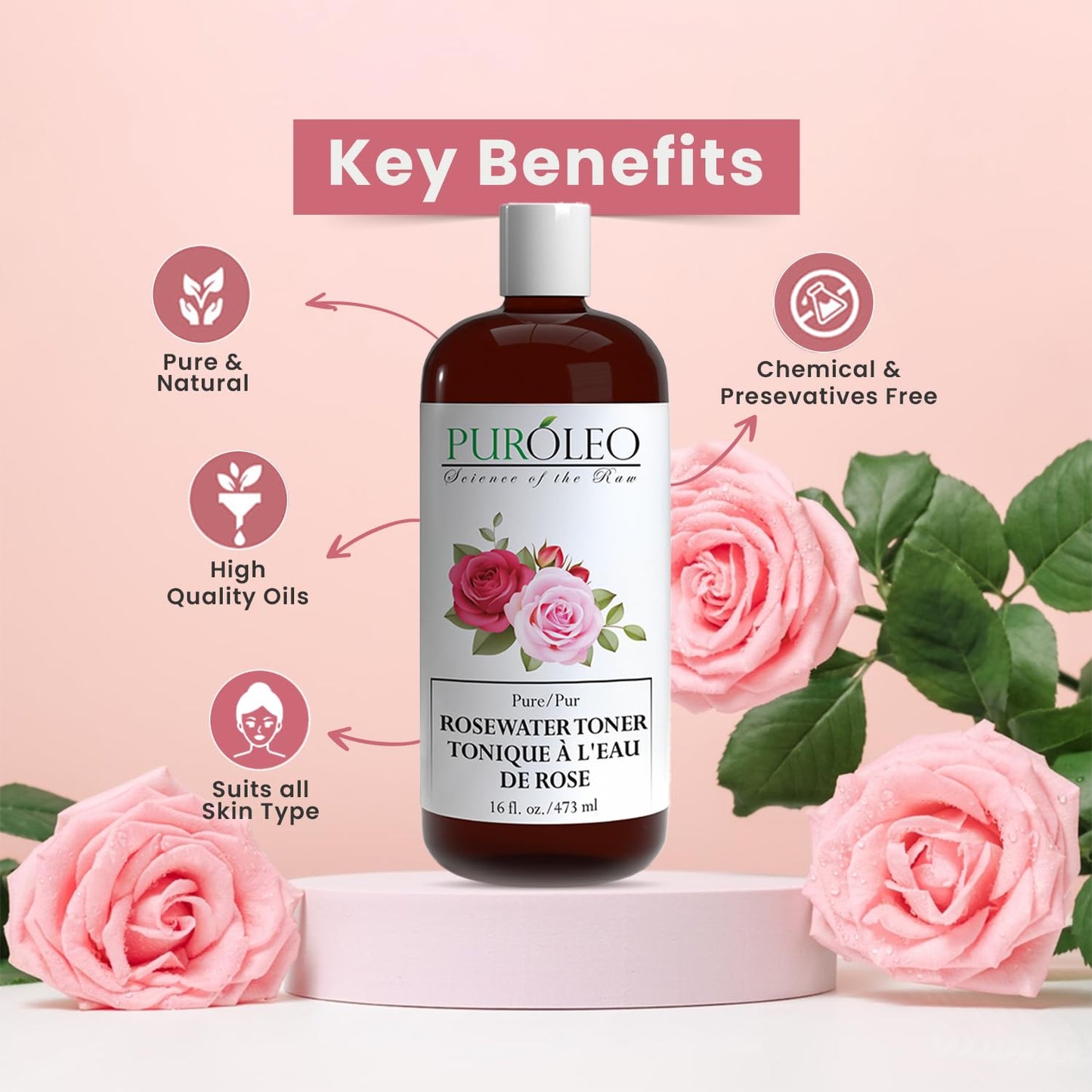 PUROLEO Rose Water 8 Fl Oz/236 ML