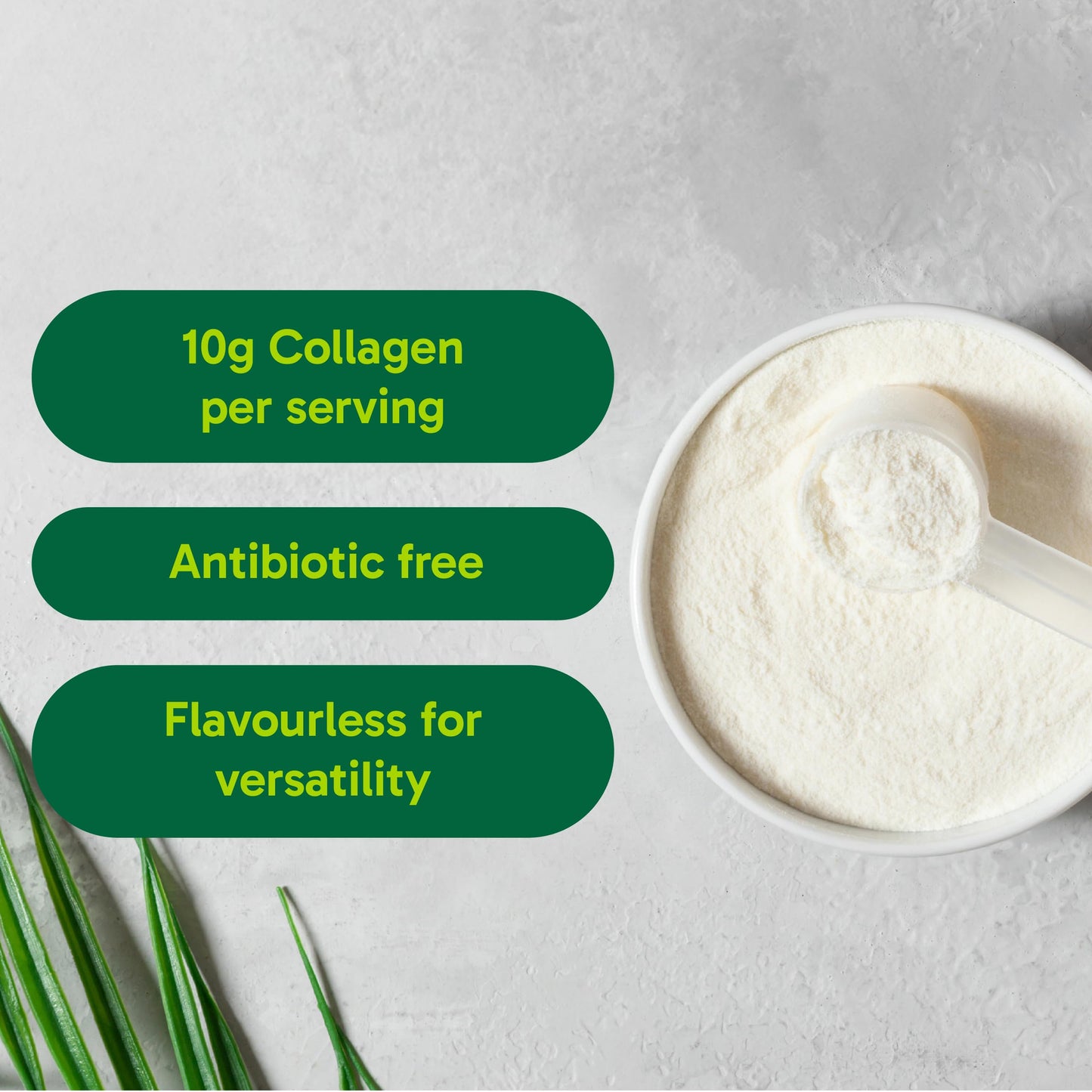 Organika Canadian-Made Enhanced Collagen Powder