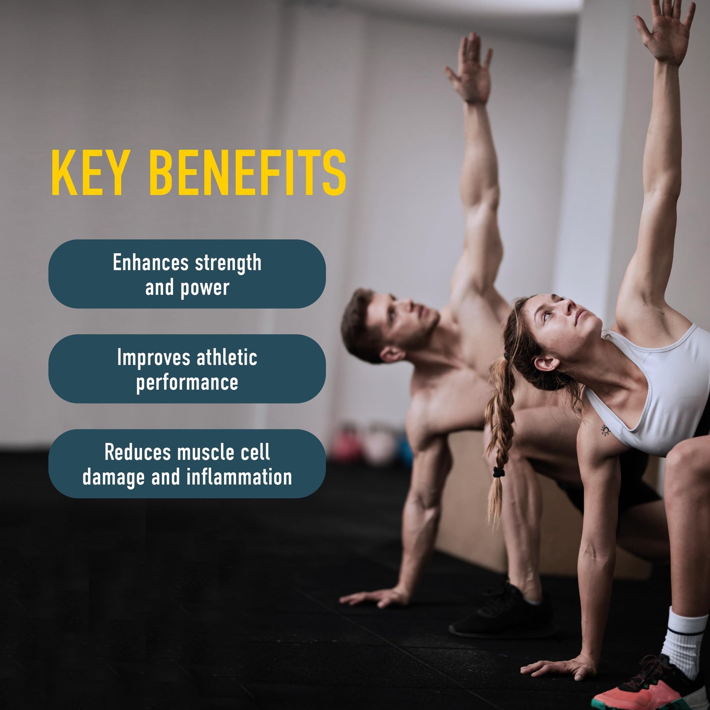 Organika Canadian-Made Creatine Powder